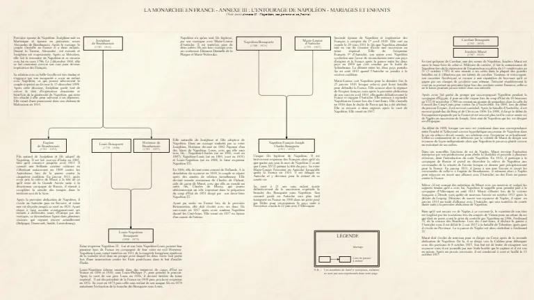 Annexe III : L'entourage de Napoléon - Mariages et enfants